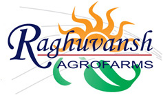 Raghuvansh Agrofarms Limited