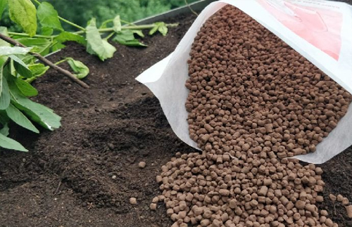 Organic Manure