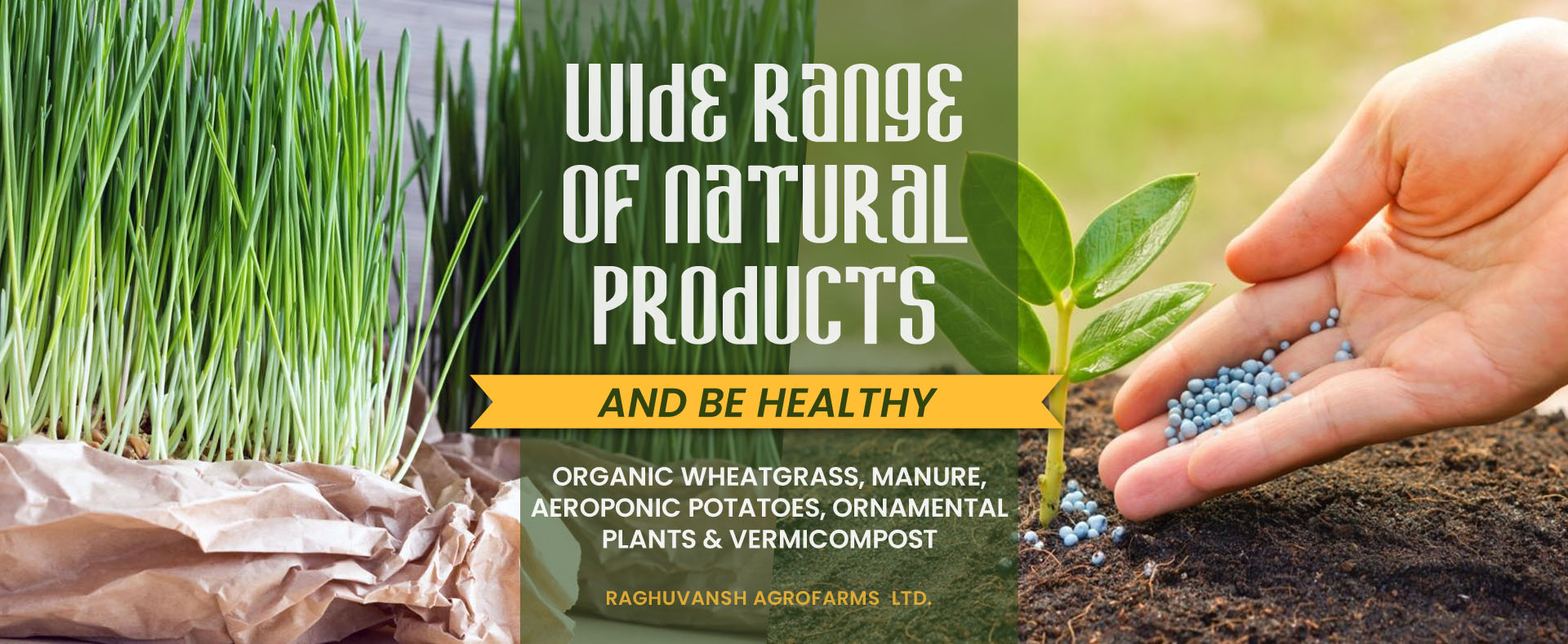 Raghuvansh Agrofarms Limited